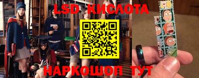 крисы Малгобек
