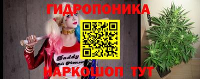 крисы Малгобек