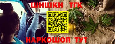 крисы Малгобек