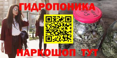 гашик Малоярославец