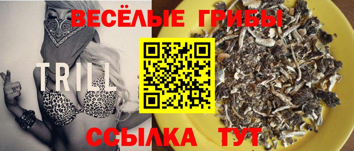 Галлюциногенные грибы мухоморы Томск