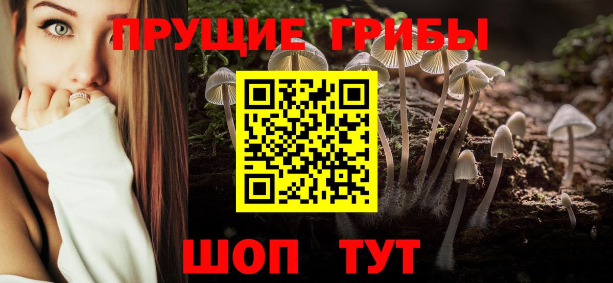 Псилоцибиновые грибы Psilocybe  Вход с VPN  Галлюциногенные грибы мицелий  где можно купить наркотик  Томск 